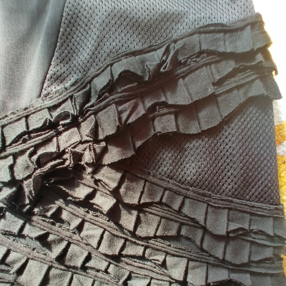 Bcbgmaxazria Runway 2009 Silk Mesh Tier Skirt 4 - Picture 9 of 9